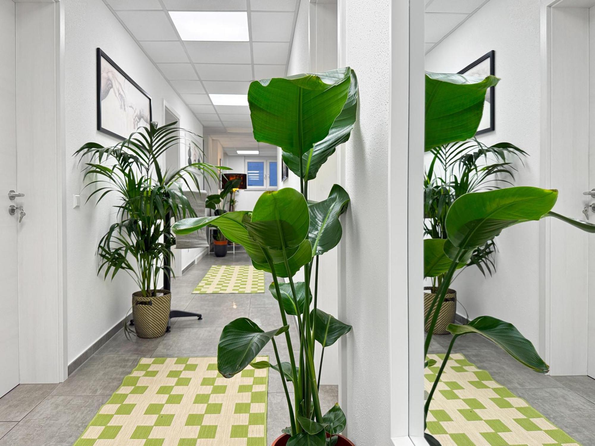 Group Friendly Comfort Central Stuttgart Apartment Extérieur photo